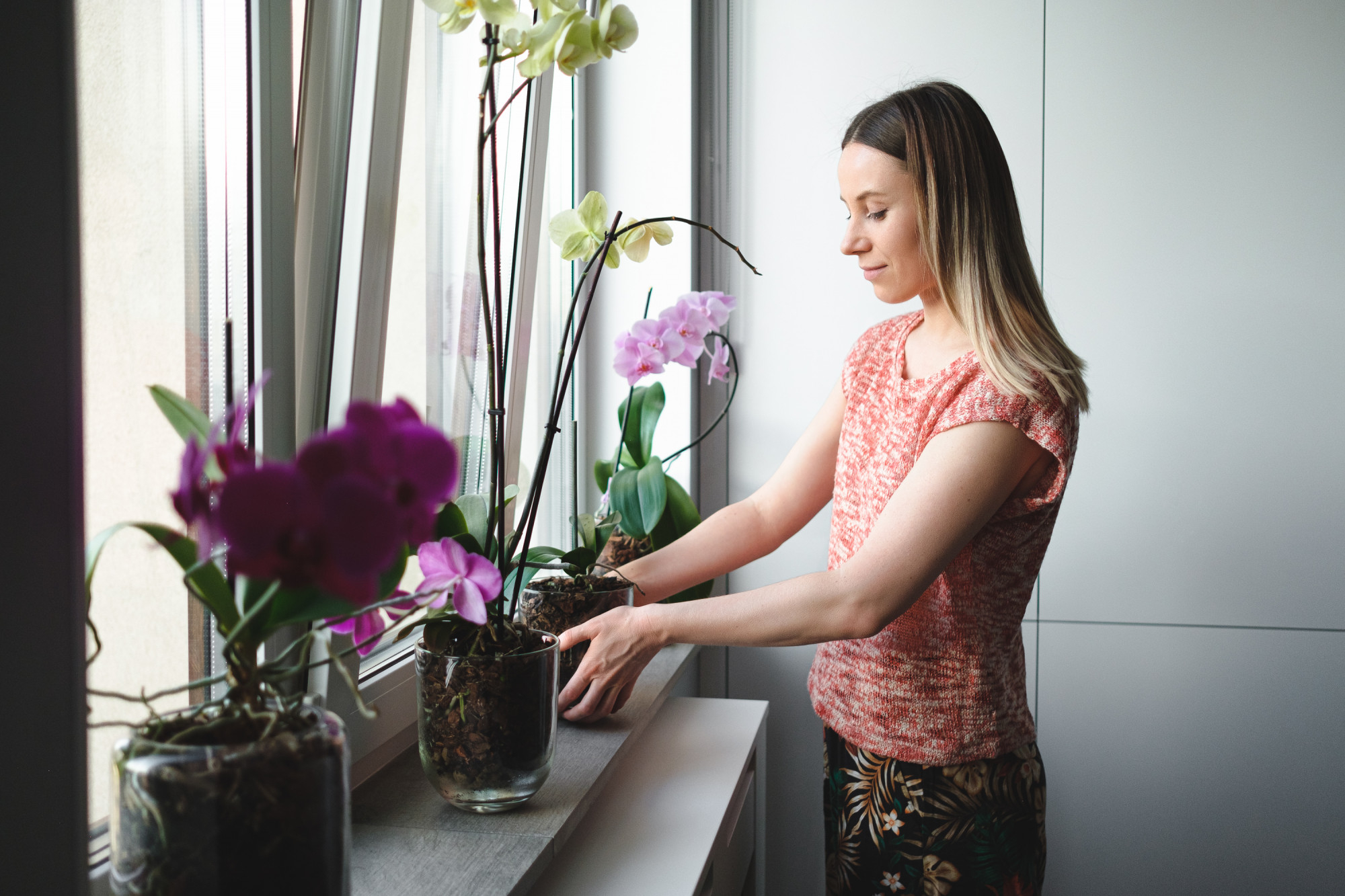 Jak kreatywnie wyeksponować kwiaty w domu? Odkryj niezwykłe miejsca na rośliny!