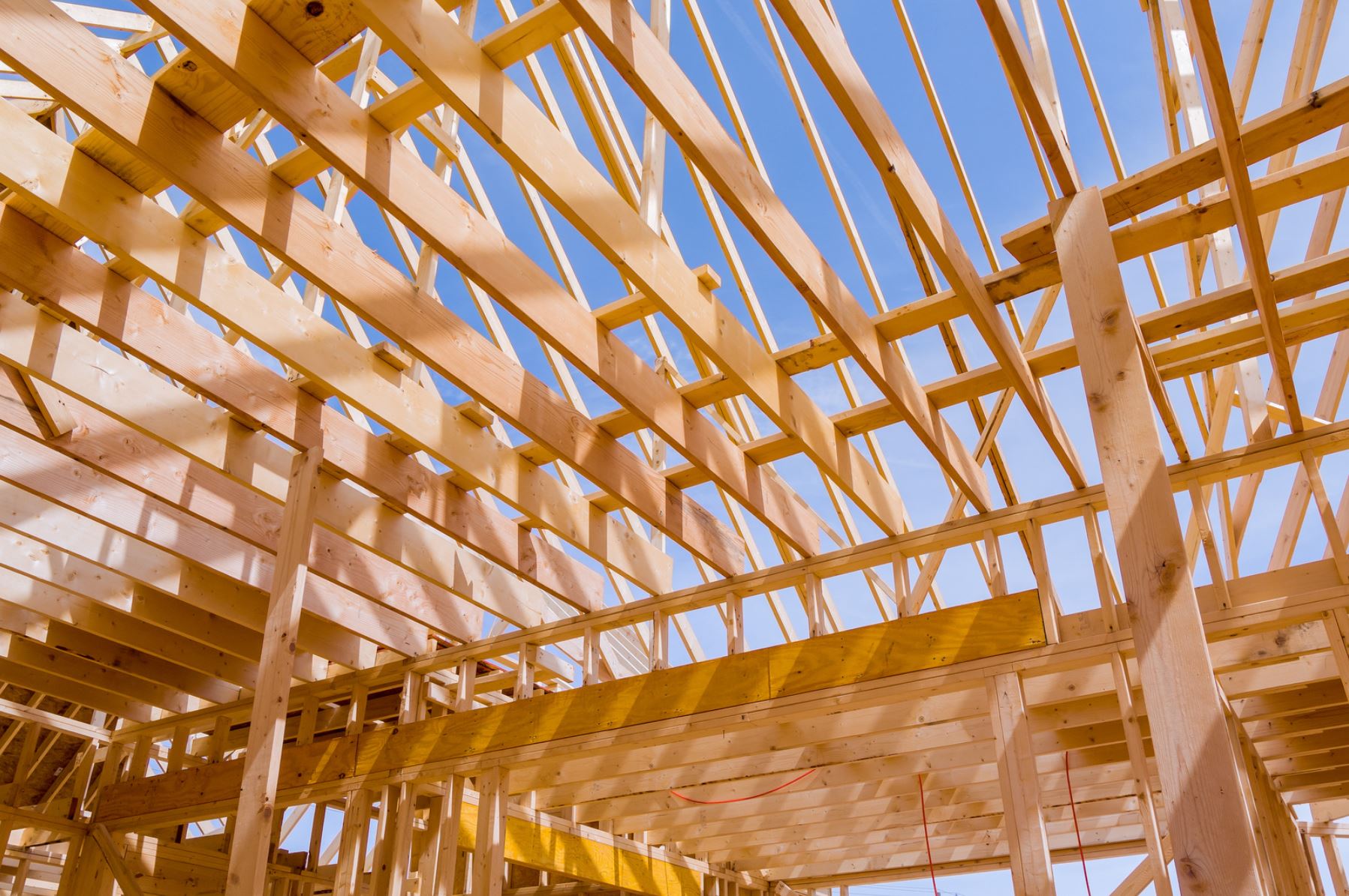 Drewno konstrukcyjne – sprawdzamy jego najpopularniejsze rodzaje